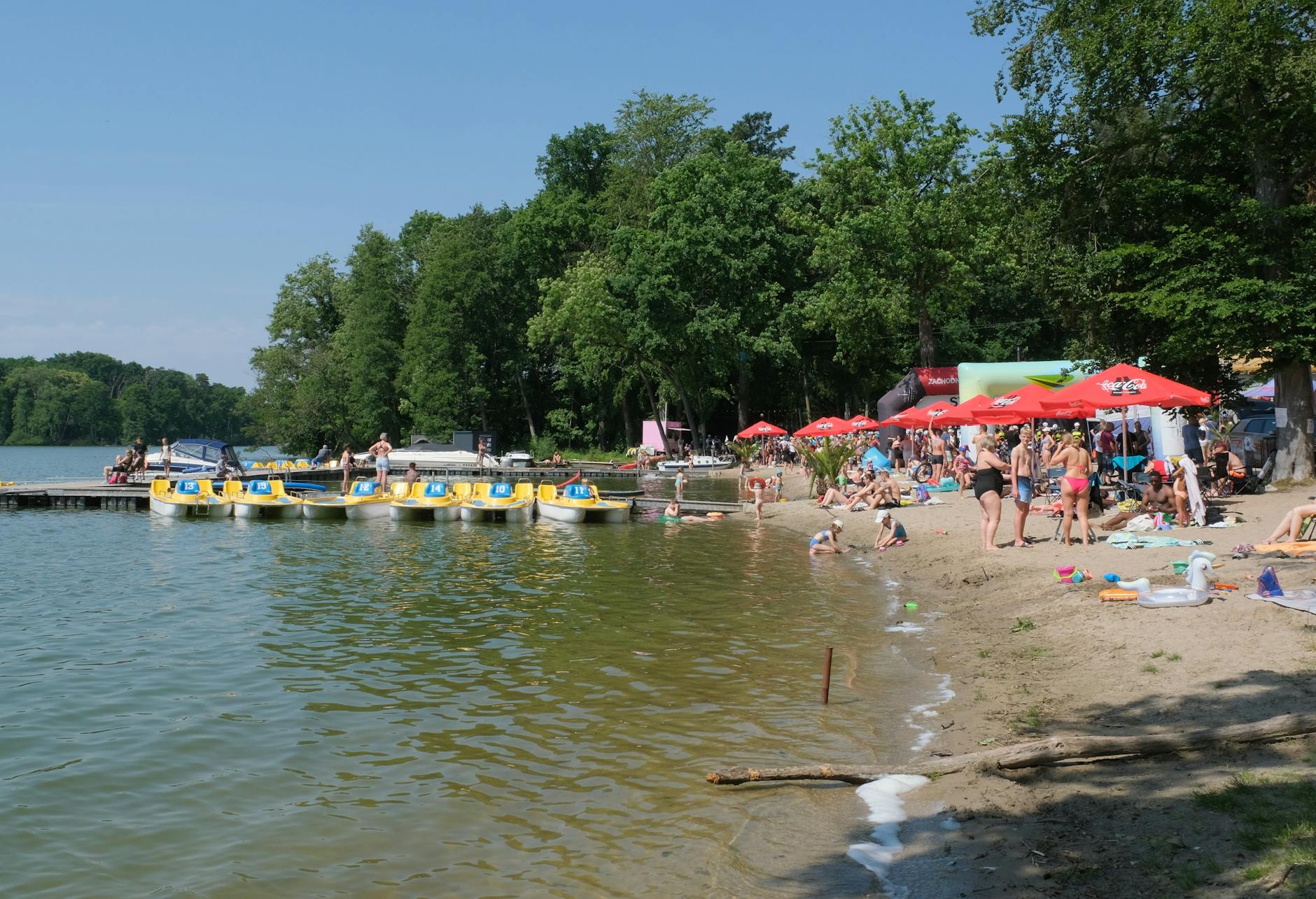 Uśmiechnięci ludzie świętujący majówkę w parku miejskim w Kutnie z widocznymi zielonymi drzewami w tle.